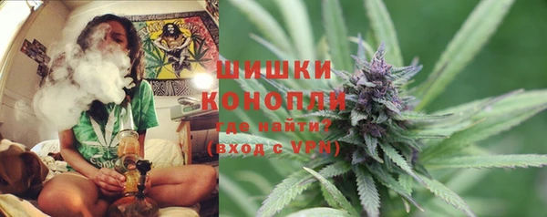 ГАЛЛЮЦИНОГЕННЫЕ ГРИБЫ Балахна